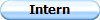 Intern